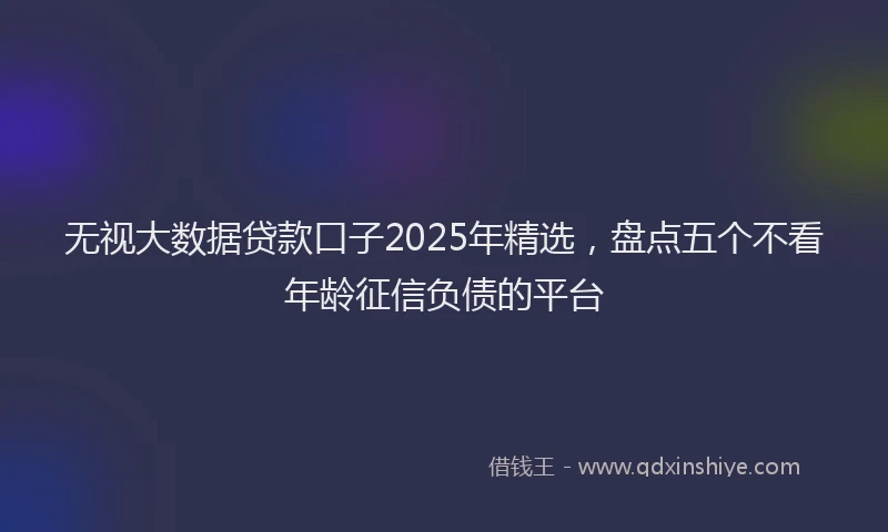 无视大数据贷款口子2025年精选，盘点五个不看年龄征信负债的平台