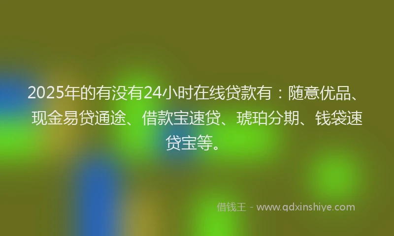2025年的有没有24小时在线贷款有：随意优品、现金易贷通途、借款宝速贷、琥珀分期、钱袋速贷宝等。