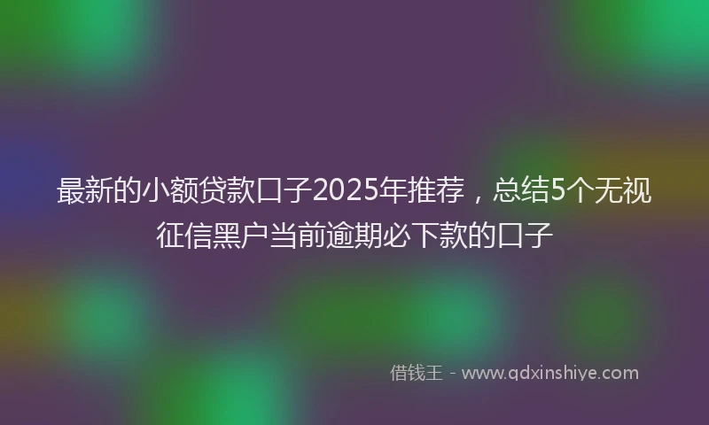 最新的小额贷款口子2025年推荐，总结5个无视征信黑户当前逾期必下款的口子