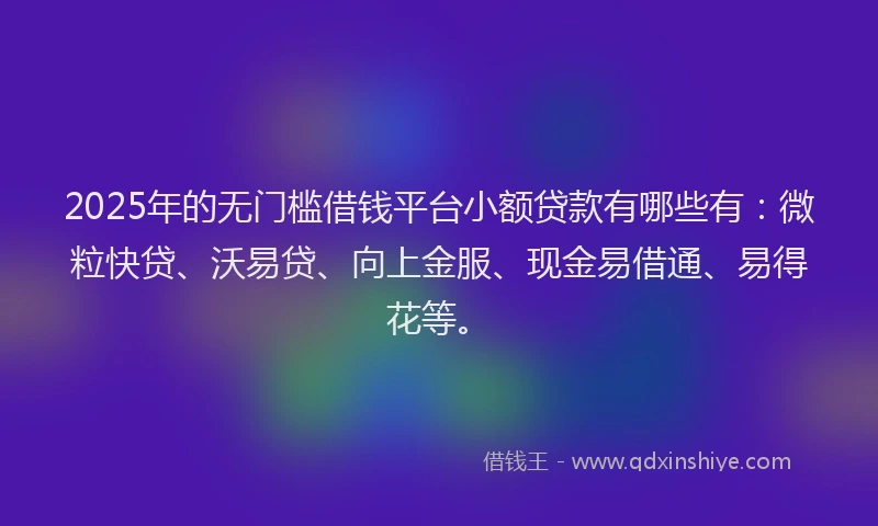 2025年的无门槛借钱平台小额贷款有哪些有：微粒快贷、沃易贷、向上金服、现金易借通、易得花等。