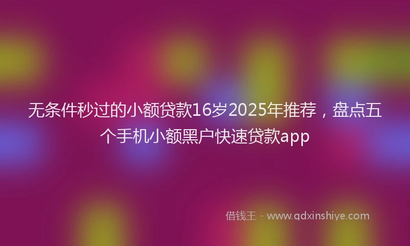 无条件秒过的小额贷款16岁2025年推荐，盘点五个手机小额黑户快速贷款app