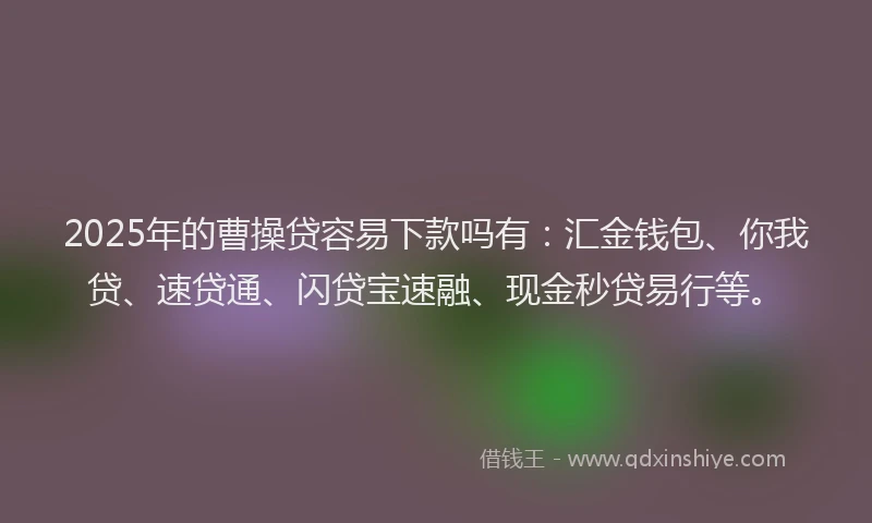 2025年的曹操贷容易下款吗有：汇金钱包、你我贷、速贷通、闪贷宝速融、现金秒贷易行等。