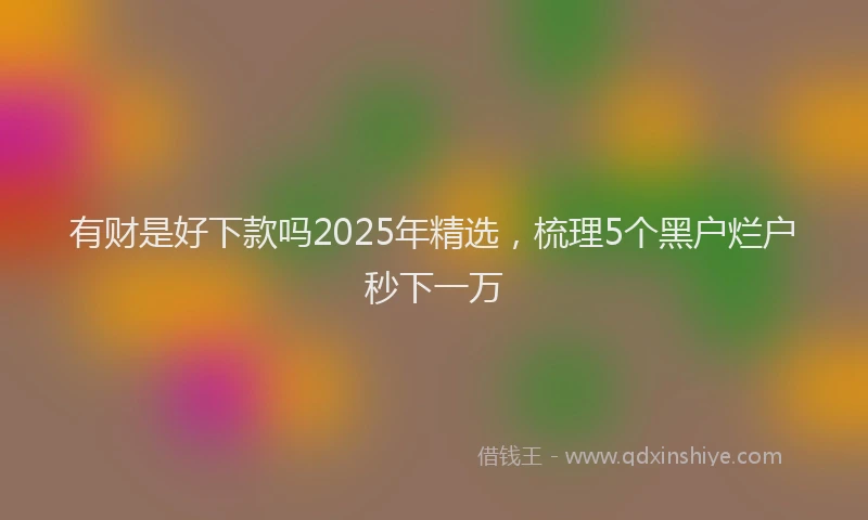 有财是好下款吗2025年精选，梳理5个黑户烂户秒下一万