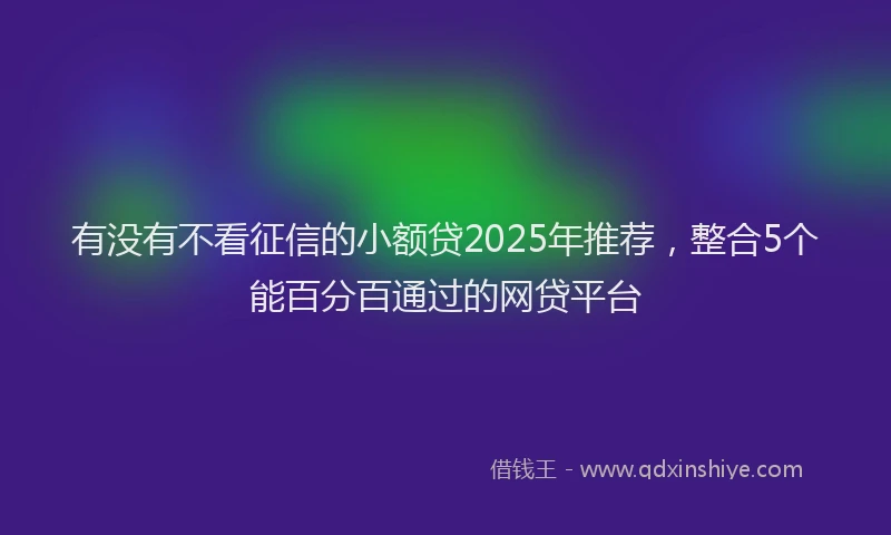 有没有不看征信的小额贷2025年推荐，整合5个能百分百通过的网贷平台