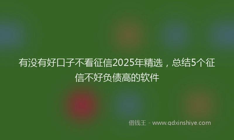 有没有好口子不看征信2025年精选，总结5个征信不好负债高的软件