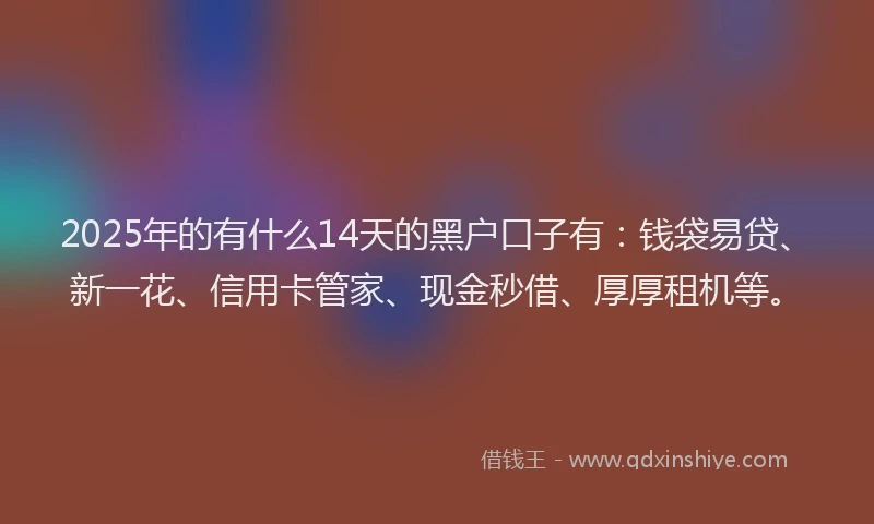 2025年的有什么14天的黑户口子有：钱袋易贷、新一花、信用卡管家、现金秒借、厚厚租机等。