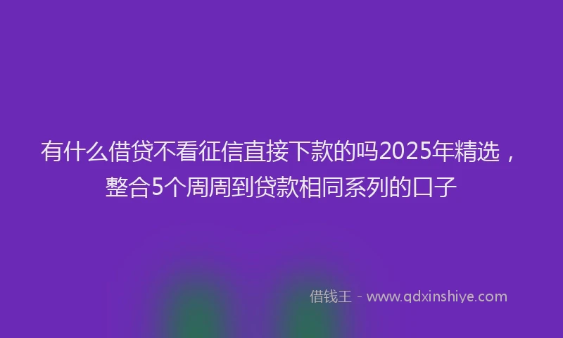 有什么借贷不看征信直接下款的吗2025年精选，整合5个周周到贷款相同系列的口子