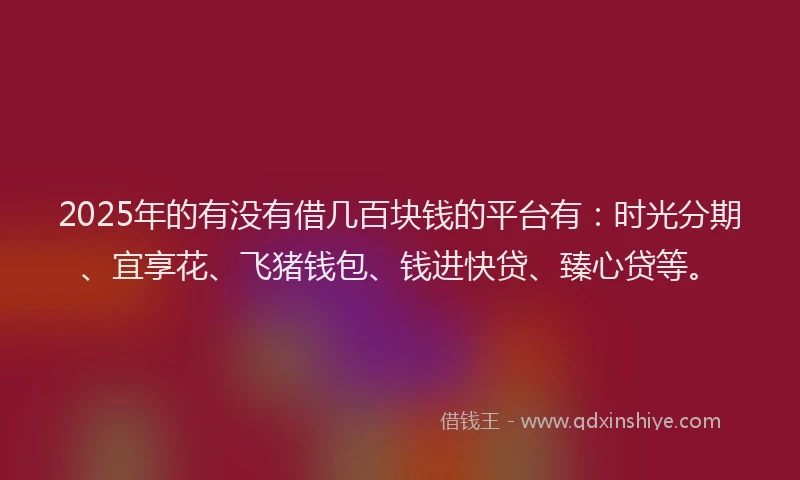 2025年的有没有借几百块钱的平台有：时光分期、宜享花、飞猪钱包、钱进快贷、臻心贷等。