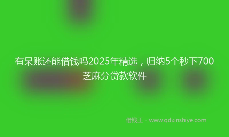 有呆账还能借钱吗2025年精选，归纳5个秒下700芝麻分贷款软件
