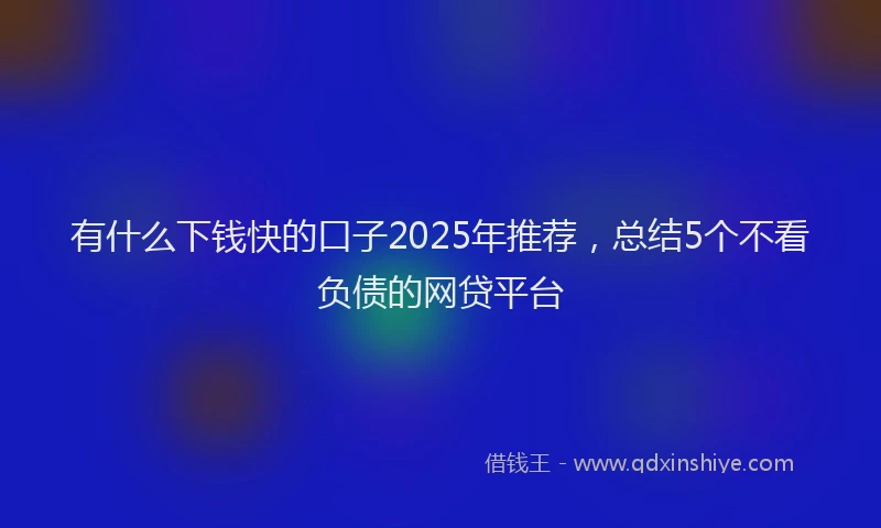 有什么下钱快的口子2025年推荐，总结5个不看负债的网贷平台