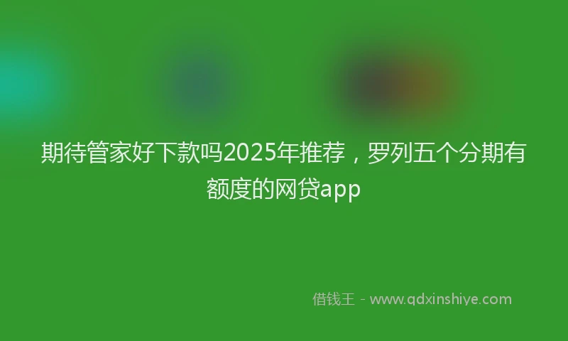 期待管家好下款吗2025年推荐，罗列五个分期有额度的网贷app