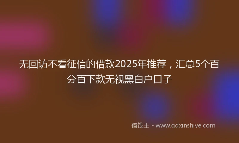 无回访不看征信的借款2025年推荐，汇总5个百分百下款无视黑白户口子