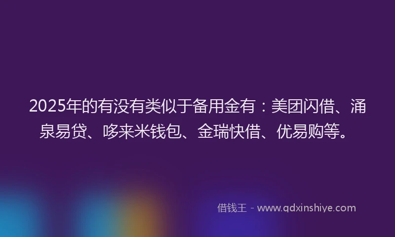 2025年的有没有类似于备用金有：美团闪借、涌泉易贷、哆来米钱包、金瑞快借、优易购等。