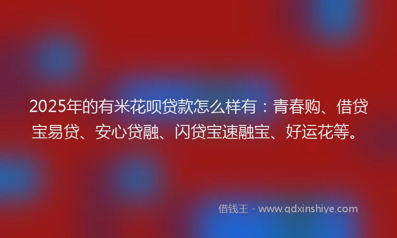 2025年的有米花呗贷款怎么样有：青春购、借贷宝易贷、安心贷融、闪贷宝速融宝、好运花等。