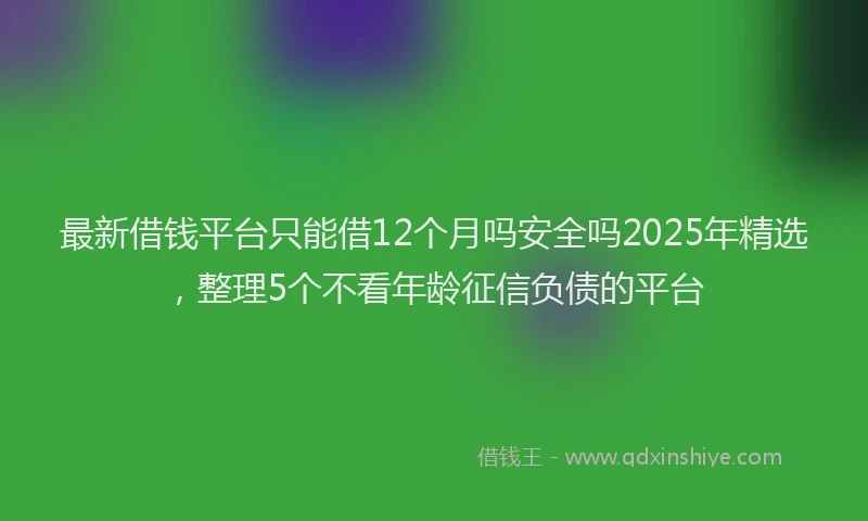 最新借钱平台只能借12个月吗安全吗2025年精选，整理5个不看年龄征信负债的平台