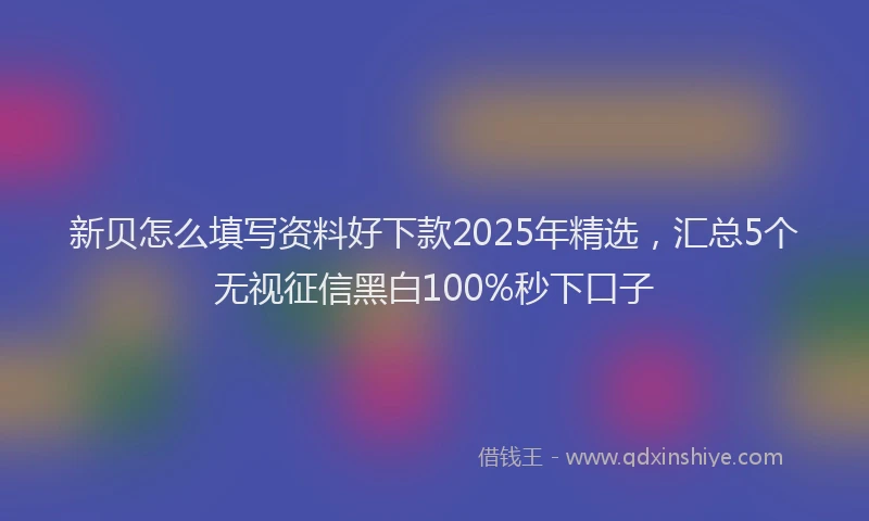 新贝怎么填写资料好下款2025年精选，汇总5个无视征信黑白100%秒下口子