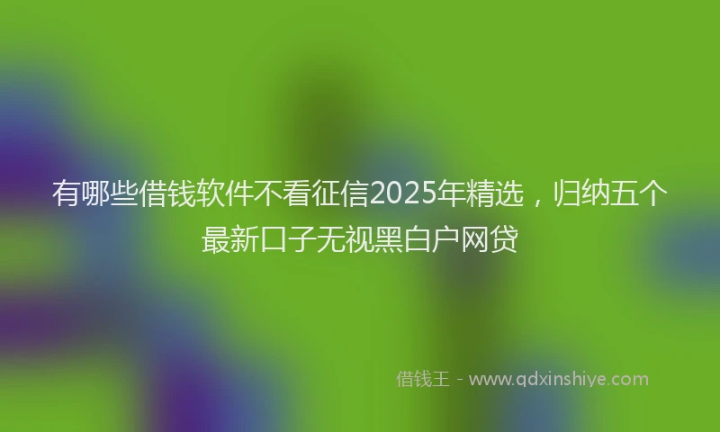 有哪些借钱软件不看征信2025年精选，归纳五个最新口子无视黑白户网贷