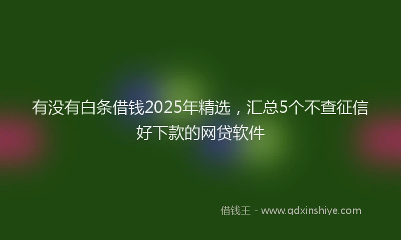 有没有白条借钱2025年精选，汇总5个不查征信好下款的网贷软件