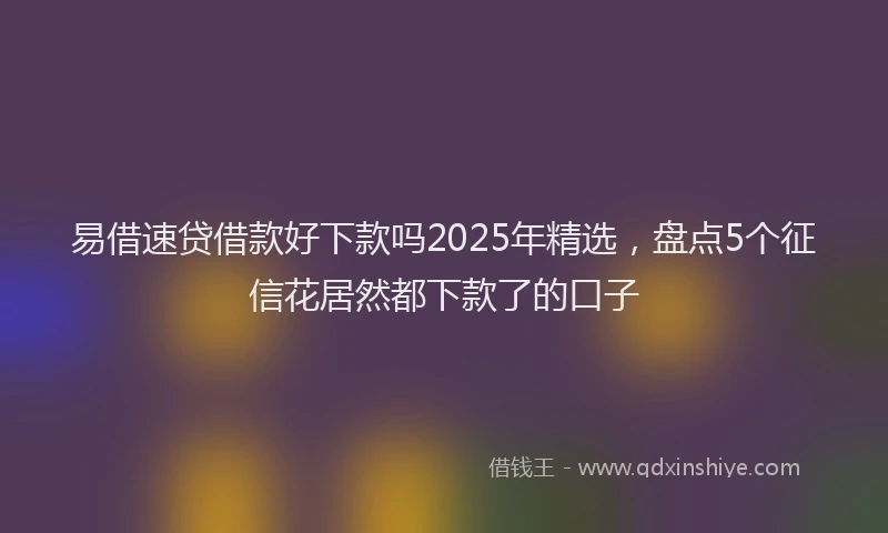 易借速贷借款好下款吗2025年精选，盘点5个征信花居然都下款了的口子