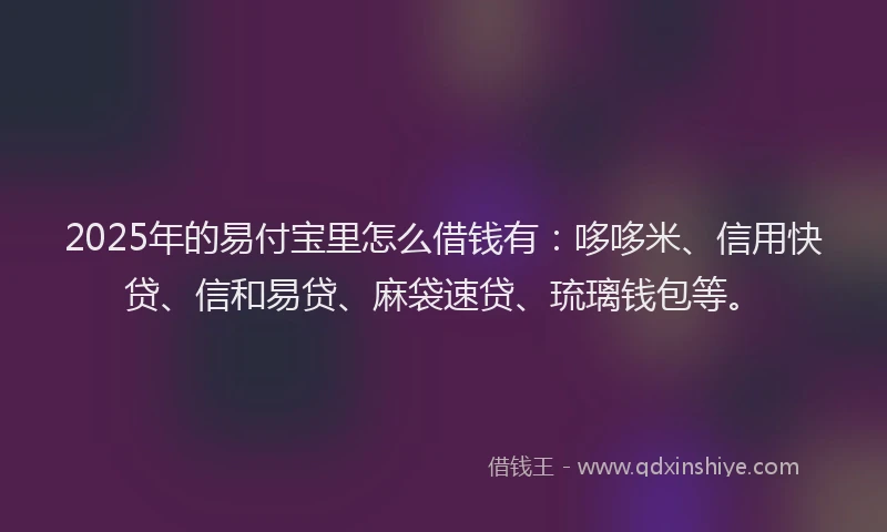 2025年的易付宝里怎么借钱有：哆哆米、信用快贷、信和易贷、麻袋速贷、琉璃钱包等。