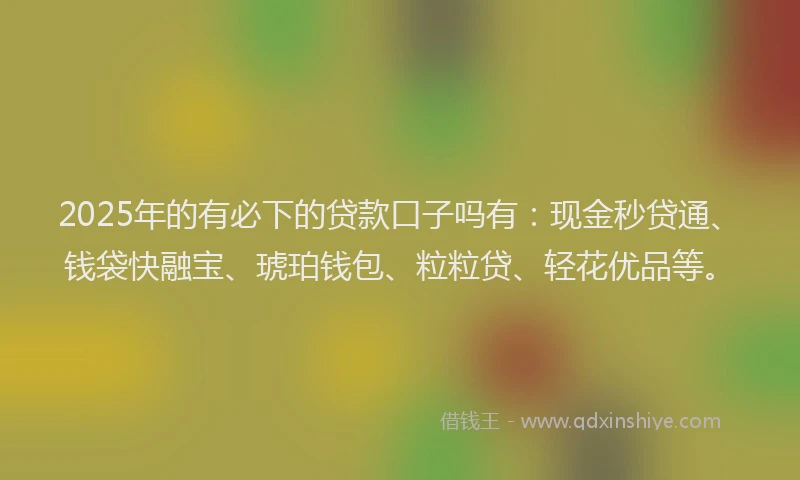 2025年的有必下的贷款口子吗有：现金秒贷通、钱袋快融宝、琥珀钱包、粒粒贷、轻花优品等。