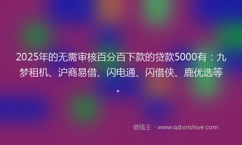2025年的无需审核百分百下款的贷款5000有：九梦租机、沪商易借、闪电通、闪借侠、鹿优选等。
