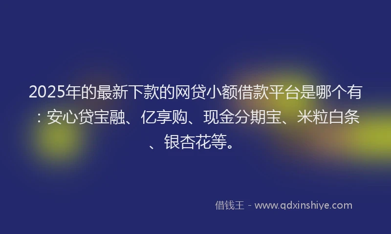 2025年的最新下款的网贷小额借款平台是哪个有：安心贷宝融、亿享购、现金分期宝、米粒白条、银杏花等。