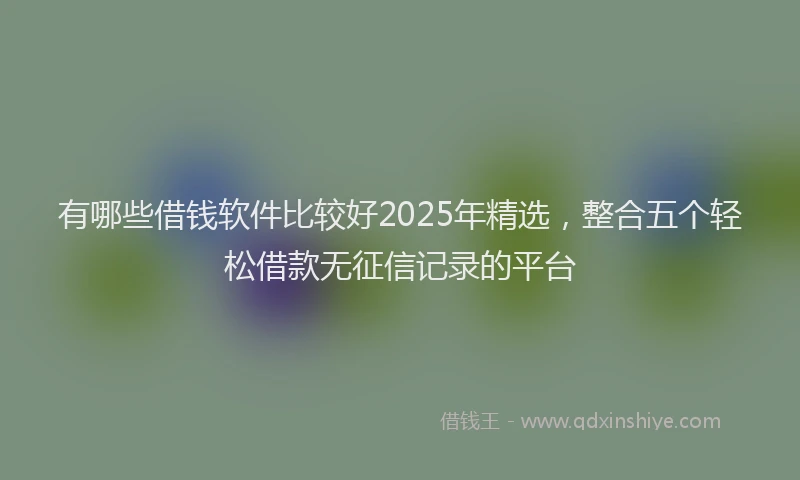有哪些借钱软件比较好2025年精选，整合五个轻松借款无征信记录的平台
