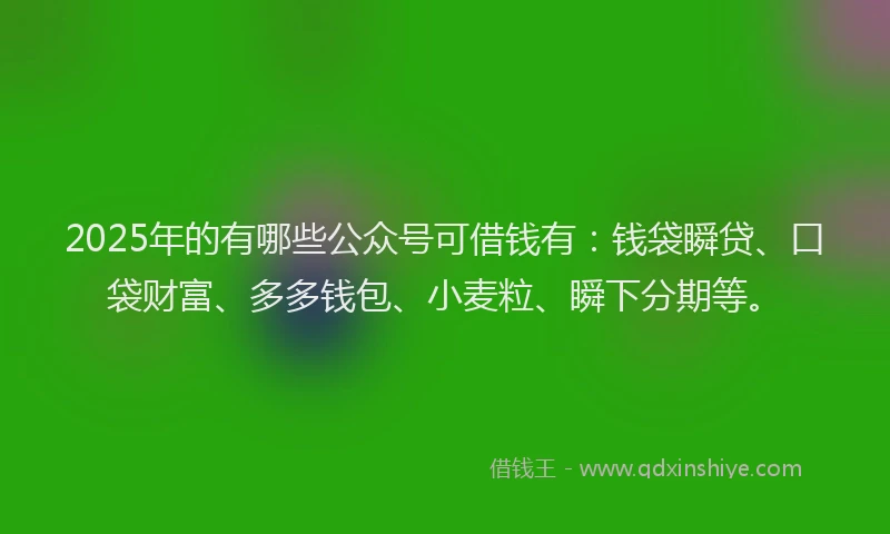 2025年的有哪些公众号可借钱有：钱袋瞬贷、口袋财富、多多钱包、小麦粒、瞬下分期等。