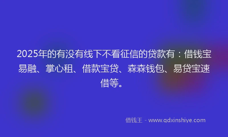 2025年的有没有线下不看征信的贷款有：借钱宝易融、掌心租、借款宝贷、森森钱包、易贷宝速借等。