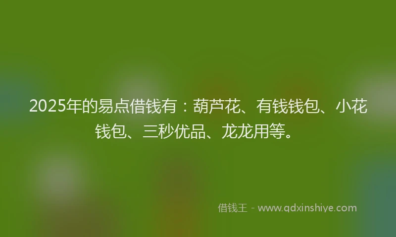 2025年的易点借钱有：葫芦花、有钱钱包、小花钱包、三秒优品、龙龙用等。