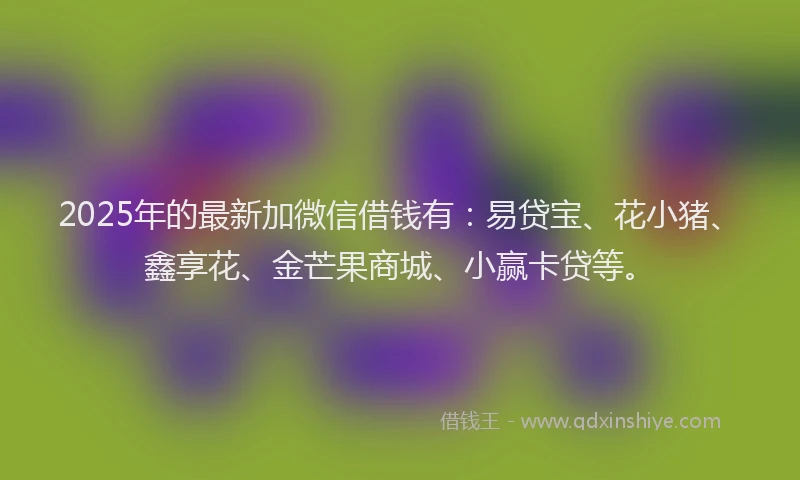 2025年的最新加微信借钱有：易贷宝、花小猪、鑫享花、金芒果商城、小赢卡贷等。