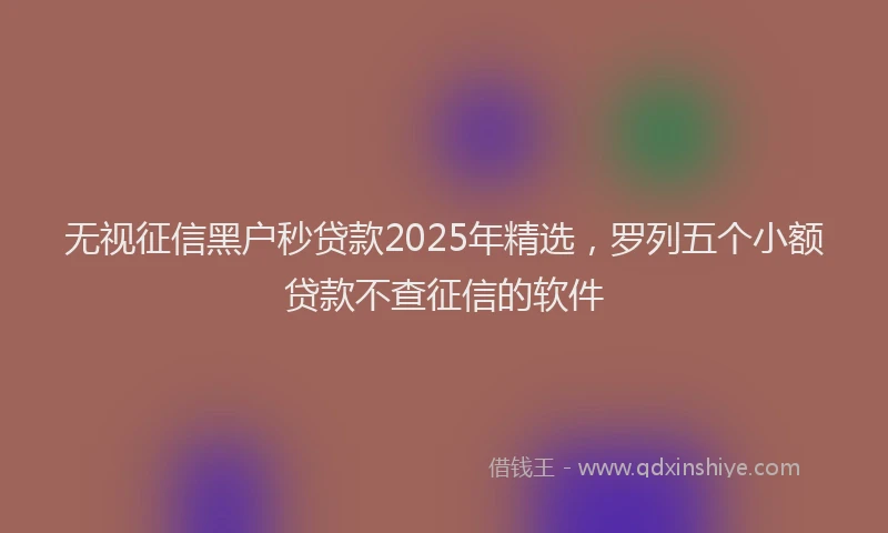 无视征信黑户秒贷款2025年精选，罗列五个小额贷款不查征信的软件