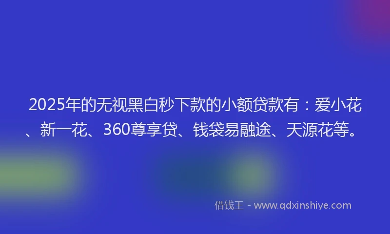 2025年的无视黑白秒下款的小额贷款有：爱小花、新一花、360尊享贷、钱袋易融途、天源花等。