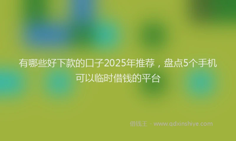 有哪些好下款的口子2025年推荐，盘点5个手机可以临时借钱的平台