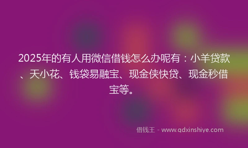 2025年的有人用微信借钱怎么办呢有：小羊贷款、天小花、钱袋易融宝、现金侠快贷、现金秒借宝等。