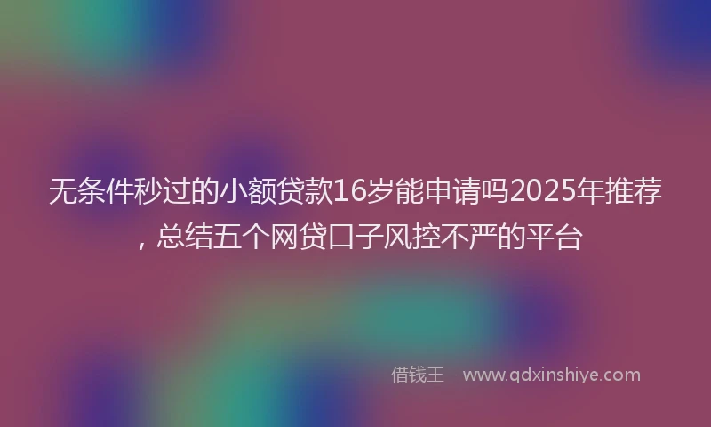 无条件秒过的小额贷款16岁能申请吗2025年推荐，总结五个网贷口子风控不严的平台
