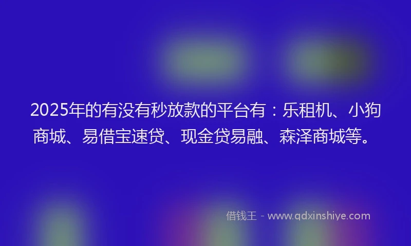 2025年的有没有秒放款的平台有：乐租机、小狗商城、易借宝速贷、现金贷易融、森泽商城等。