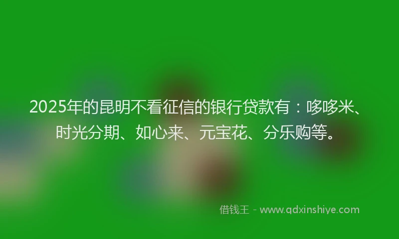 2025年的昆明不看征信的银行贷款有：哆哆米、时光分期、如心来、元宝花、分乐购等。