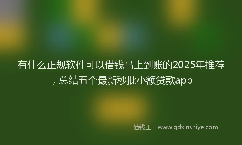 有什么正规软件可以借钱马上到账的2025年推荐，总结五个最新秒批小额贷款app