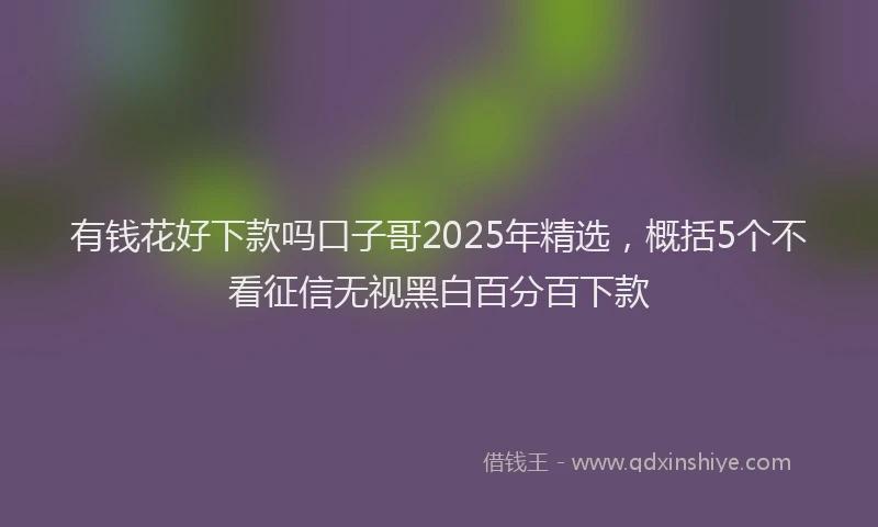 有钱花好下款吗口子哥2025年精选，概括5个不看征信无视黑白百分百下款