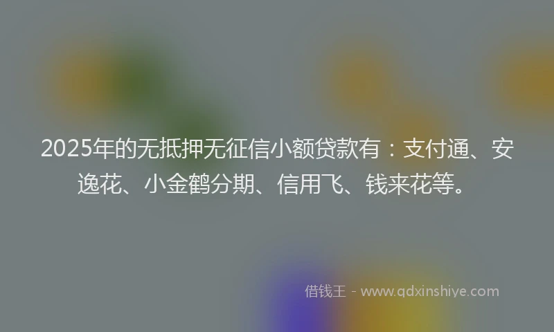2025年的无抵押无征信小额贷款有：支付通、安逸花、小金鹤分期、信用飞、钱来花等。