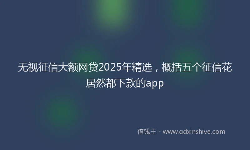 无视征信大额网贷2025年精选，概括五个征信花居然都下款的app