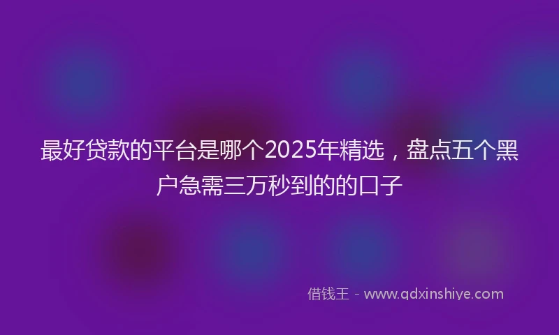最好贷款的平台是哪个2025年精选，盘点五个黑户急需三万秒到的的口子