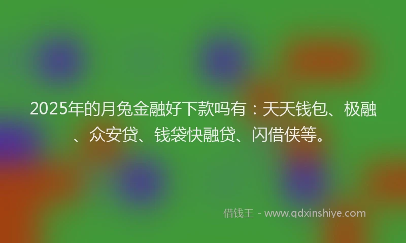 2025年的月兔金融好下款吗有：天天钱包、极融、众安贷、钱袋快融贷、闪借侠等。