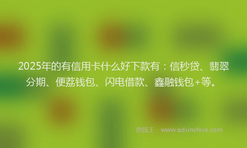 2025年的有信用卡什么好下款有：信秒贷、翡翠分期、便荔钱包、闪电借款、鑫融钱包+等。