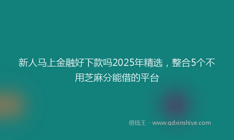新人马上金融好下款吗2025年精选，整合5个不用芝麻分能借的平台