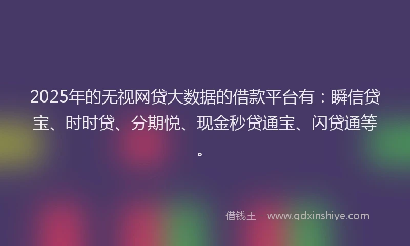 2025年的无视网贷大数据的借款平台有：瞬信贷宝、时时贷、分期悦、现金秒贷通宝、闪贷通等。