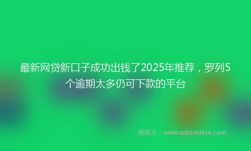 最新网贷新口子成功出钱了2025年推荐，罗列5个逾期太多仍可下款的平台