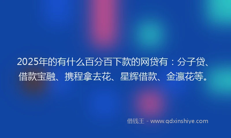 2025年的有什么百分百下款的网贷有：分子贷、借款宝融、携程拿去花、星辉借款、金瀛花等。